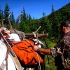 GBO Big Game Hunting